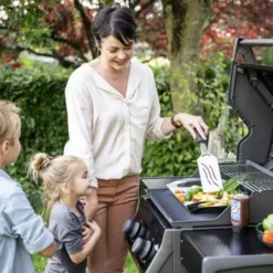 Barbecue Gaz Rogue 365 R 2 Brûleurs - NAPOLEON 11 Barbecue Gaz Rogue 365 R 2 Brûleurs - NAPOLEON -Cuisine Gril Boutique barbecue gaz rogue 365 serie r 2 bruleurs 2